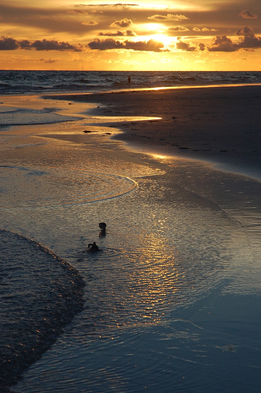 Ultimate Adventure in Siesta Key